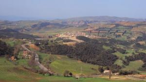 Vue Générale des Plaines de Titri (Wilaya de Médéa)