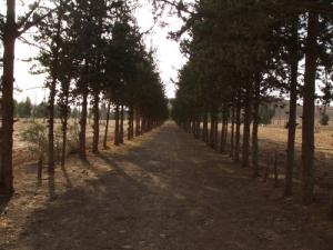 Ebheyra El Azizia (Wilaya de  Medea)