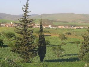 Entrée Sud de la commune d'El Omaria