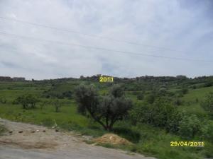 Les Monts de Médéa