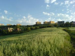 Theniet el Hdjar vu de Tlemceni