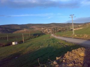 Beau Paysage de Printemps aux alentours de Médéa