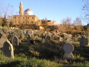 Vue sur la Mosquée  Mouad Ibn Djebel  depuis le Cimetière de Médéa