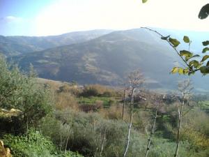 Paysage de Mekrez (Wilaya de Médéa)