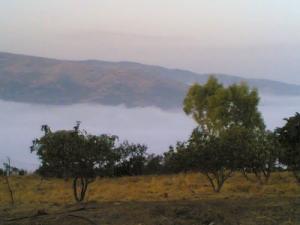 Brouillard sur Oued Lahrech (Wilaya de Médéa)