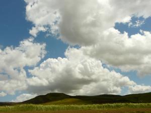 Ciel Printanier de Ben Chikao (Wilaya de Médéa)