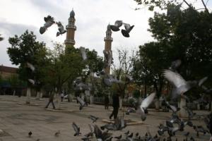 place 1novembre à Médéa