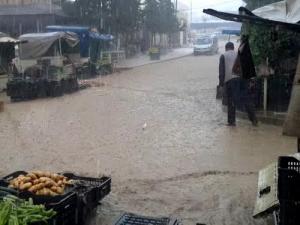 Pluie sur le Marché des Fruits et Légumes (Wilaya de Médéa)