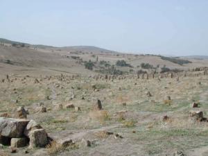 Ruines romaines de Rapidi (Actuel Berrouaguia)