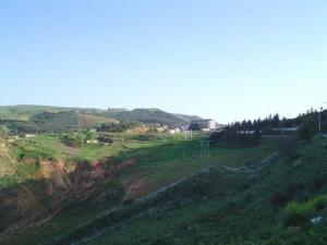 Verdure sur la commune de Benchicao