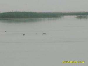 Un Lac Près de Boughezoul