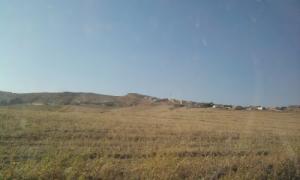 Champs moissonnés aux abords de Médéa