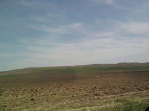 Terres agricoles dans la commune de Mefatha