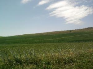 Le Cimetière de Sidi Toumi (Wilaya de Médéa)