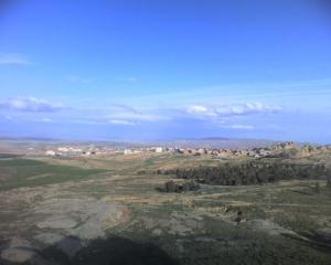 Une Petite Forêt aux alentours de Médéa