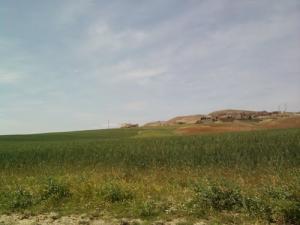 Agriculture à Mefatha