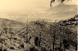 صورة لغابة الفلين في سنة 1964