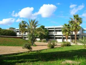 Institut d'Enseignement Supérieur à Oran