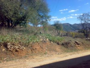 Cimetière de Médéa