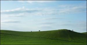 Verdure aux Alentours de Médéa