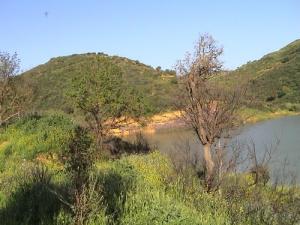 Vue sur le Barrage de Ben Chicao