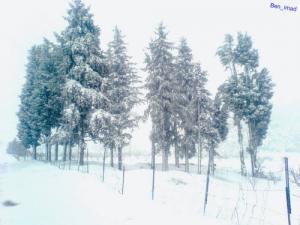 Neige sur le Barrage de Benchicao