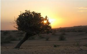 Coucher de Soleil sur la campagne de Médéa