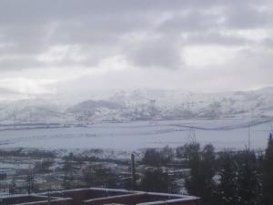 Paysage d'une forêt recouverte de neige (Médéa)