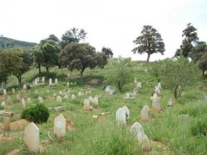 Cimetière Sidi Hammou (Wilaya de Médéa)