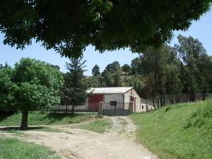 Étable à Bovins au village de Hamidia (Wilaya de Médéa)