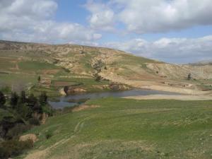 Verdure aux abords de Médéa