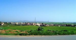 Verdure du printemps à Em Omaria