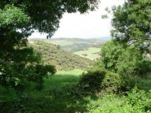 La verdure flamboyante du printemps à Médéa