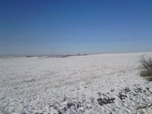 Neige sur la route d'Alger