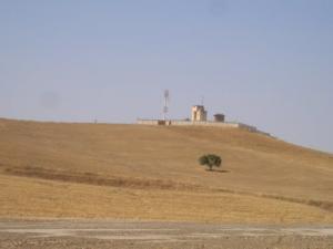Champ de Blé près de Médéa