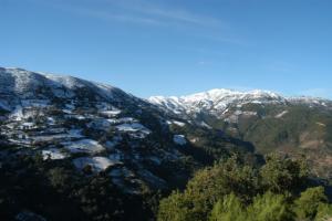 دوار صولاية