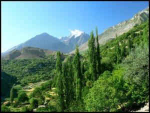 La Forêt de Médéa au Printemps