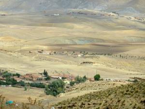 Les Champs de Blés environnant la commune de Médéa