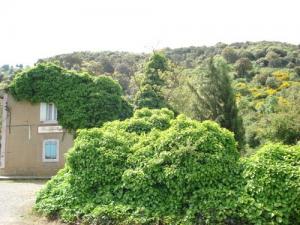 Gare Ferroviaire aux abords de Médéa