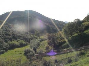 La Verdure environnant le Barrage de Ben Chicao