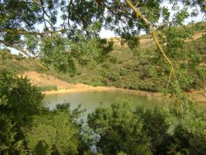Le Barrage de Ben Chicao à l'approche de l'été