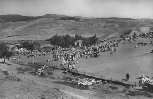 Marché Hebdomadaire de Bouskene (période coloniale)