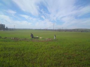 Le printemps à Médéa