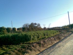 مدخل قرية  بخاتة