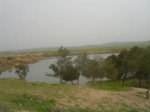 منظر طبيعي رائع