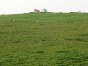 صورة لضريح  سيدي عمار