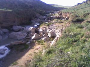 صورة من ضواحي  ملينات