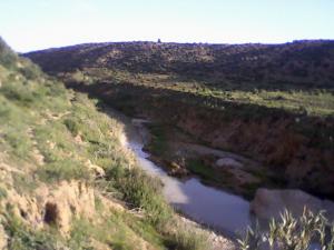 صورة من ضواحي  ملينات  (1)