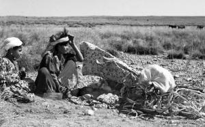 Cueilleuses d'alfa....