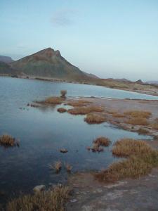 صورة لبحيرة بلدية  عين ورقة